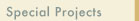 special projects