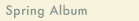 spring album project