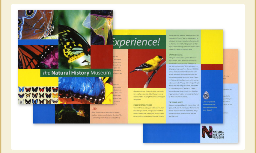 Natural History Museum Brochure