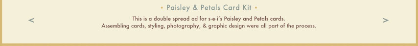 this is an ad for SEI's cards kit